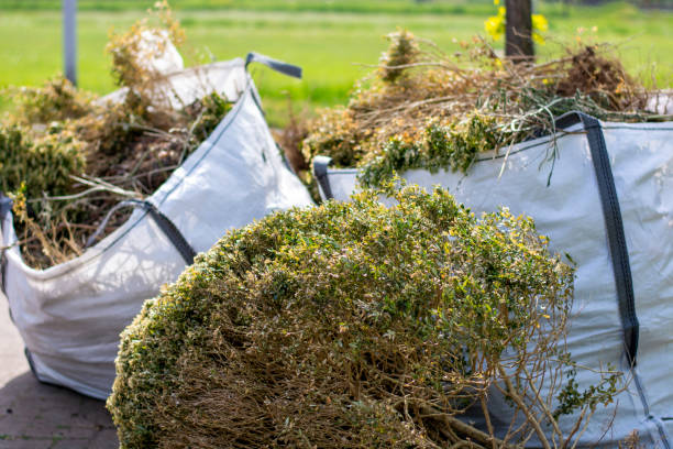 Best Same-Day Junk Removal  in Indio, CA